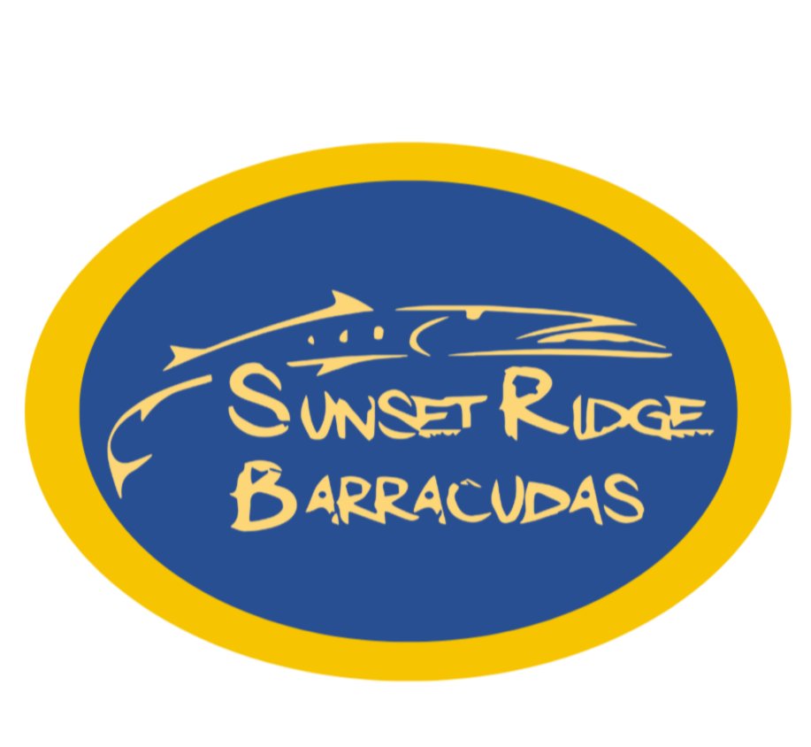 Barracudas Car Magnet