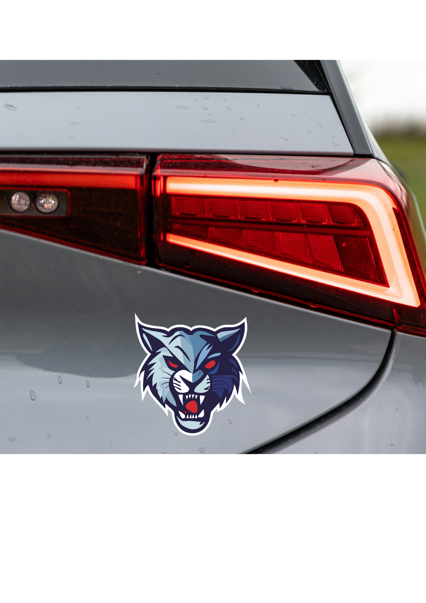 Lynx Die Cut Magnet