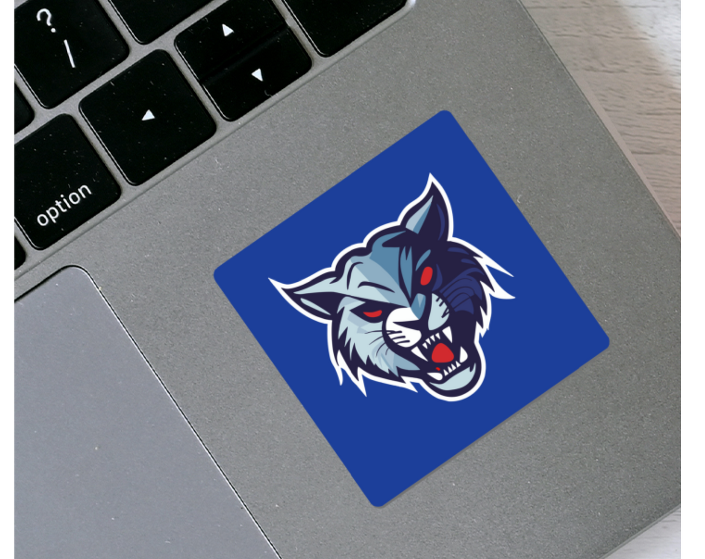 Blue sticker with Lynx logo