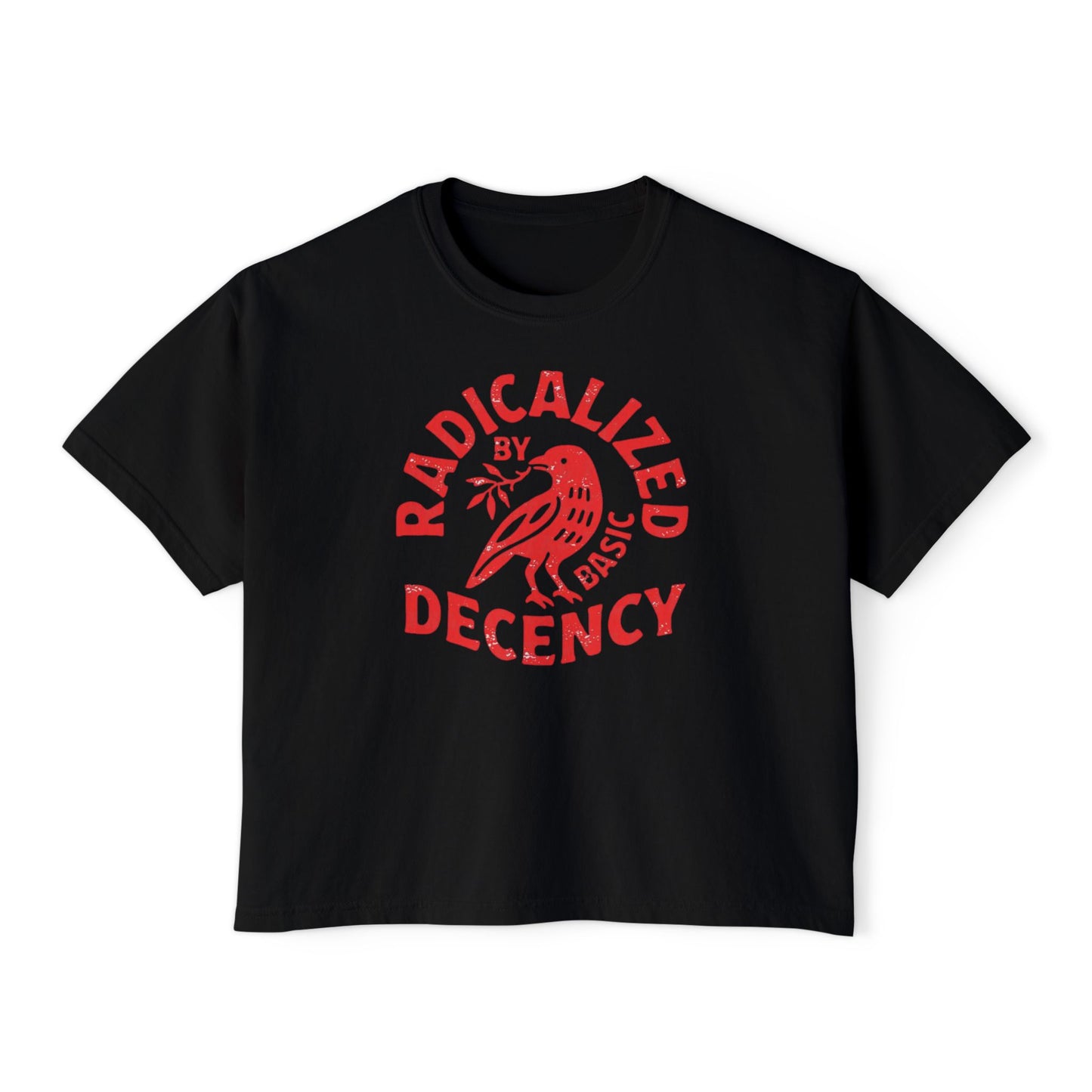Radicalized by Decency Boxy Tee — Women's Vintage Graphic T‑Shirt