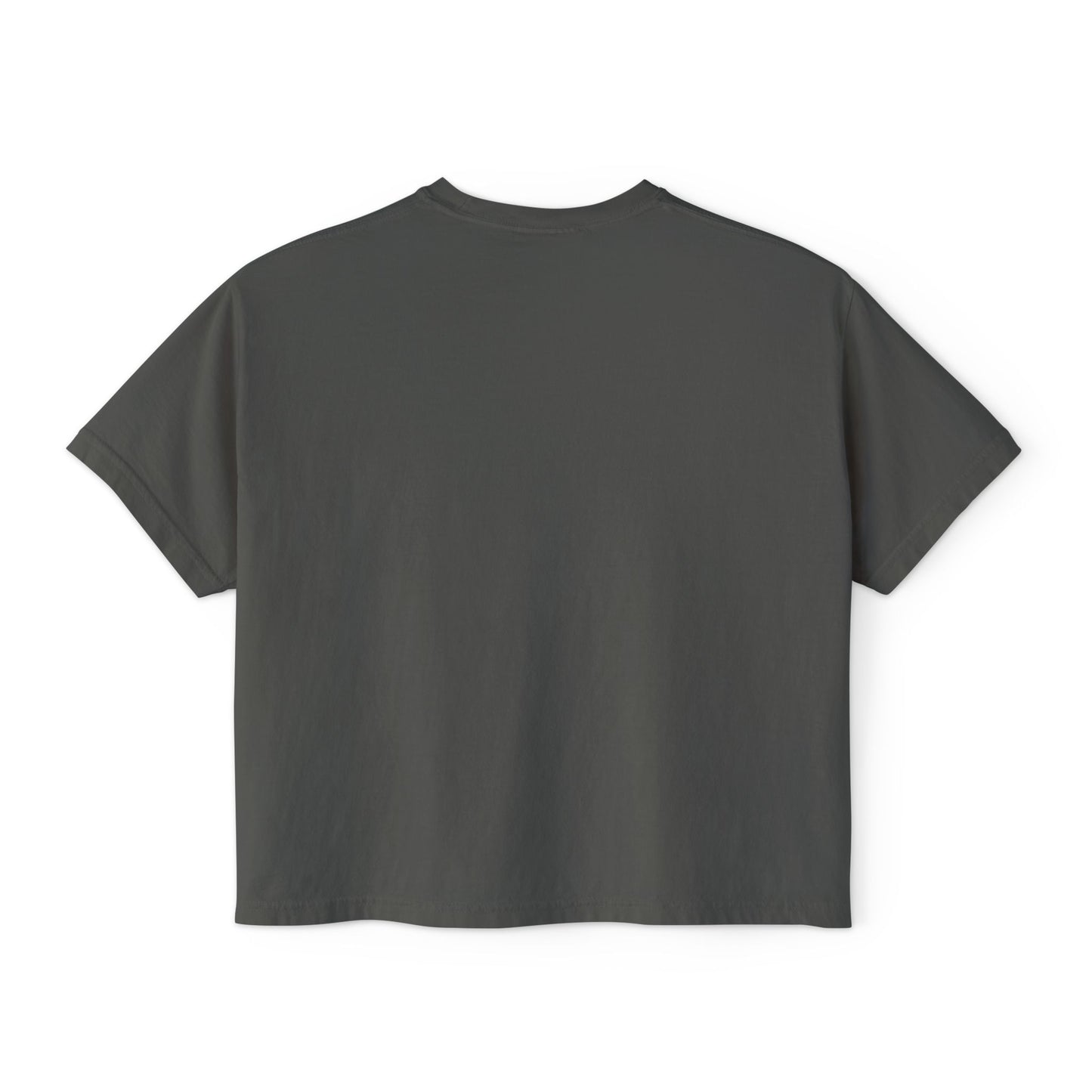 Radicalized by Decency Boxy Tee — Women's Vintage Graphic T‑Shirt