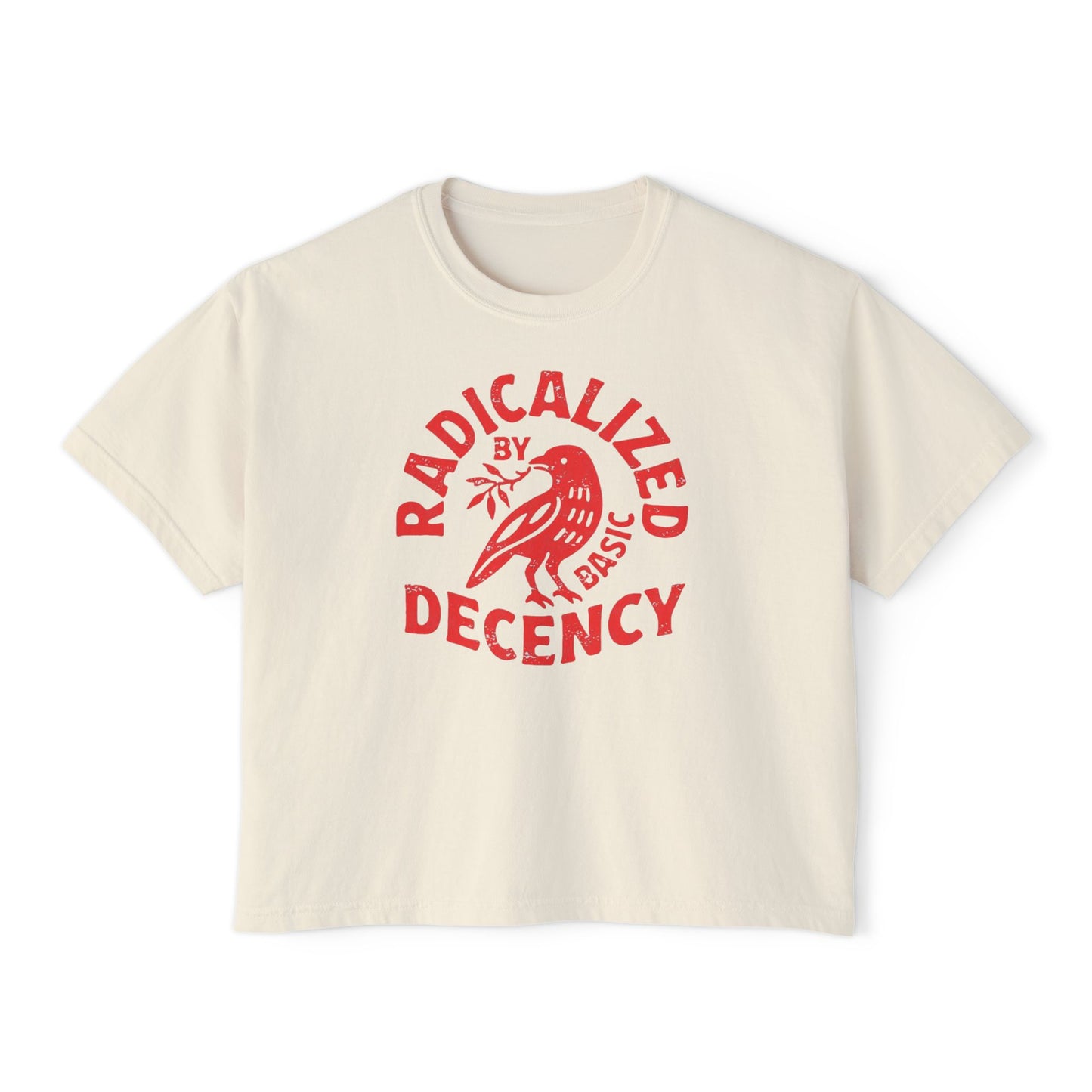 Radicalized by Decency Boxy Tee — Women's Vintage Graphic T‑Shirt