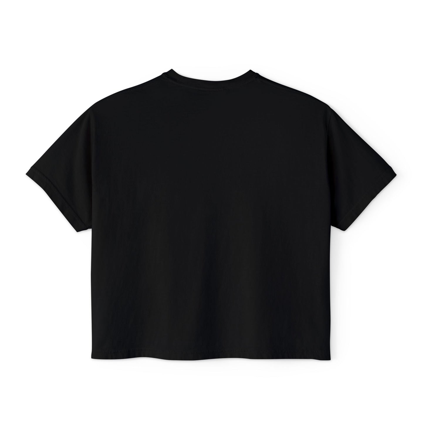 Radicalized by Decency Boxy Tee — Women's Vintage Graphic T‑Shirt