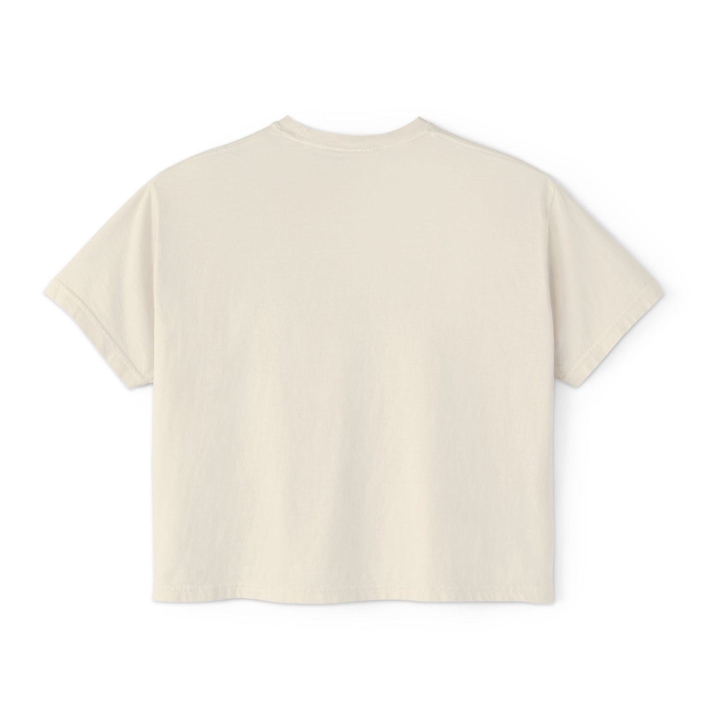Radicalized by Decency Boxy Tee — Women's Vintage Graphic T‑Shirt