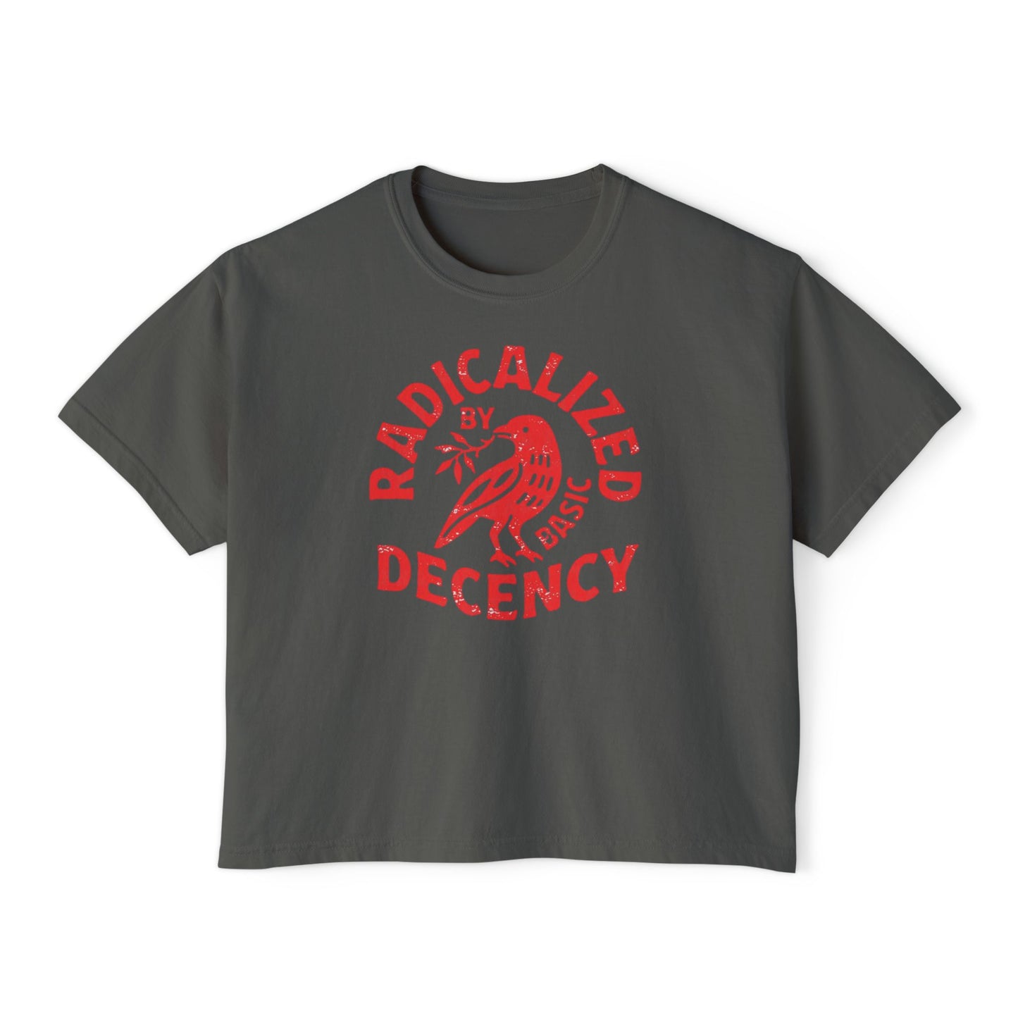 Radicalized by Decency Boxy Tee — Women's Vintage Graphic T‑Shirt