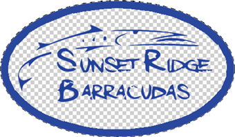 SSR Barracudas Temp Tattoos